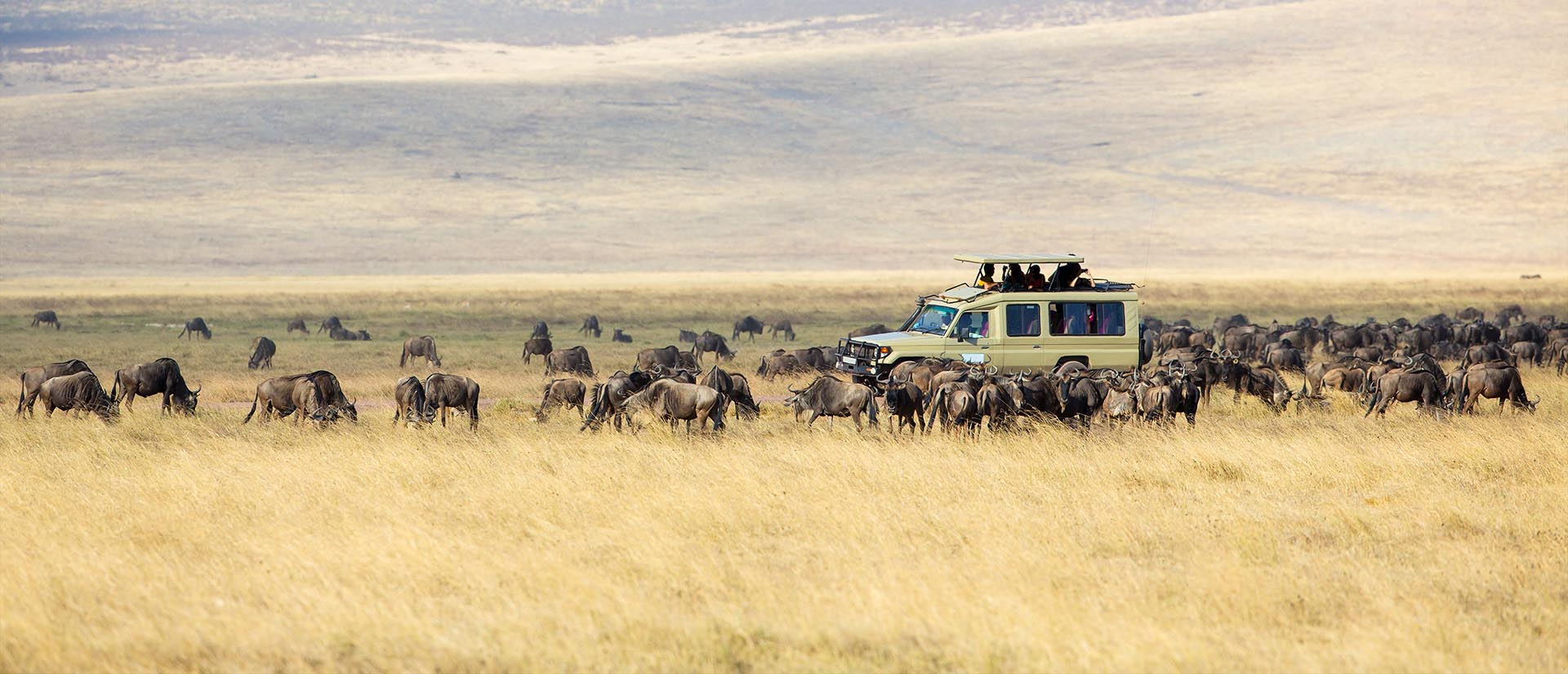 Ngorongoro