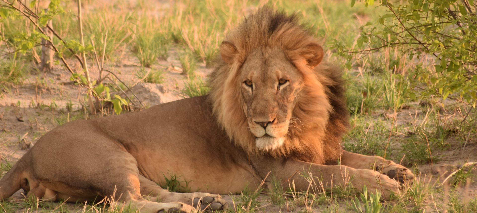 Tanzania Northern Circuit Safaris