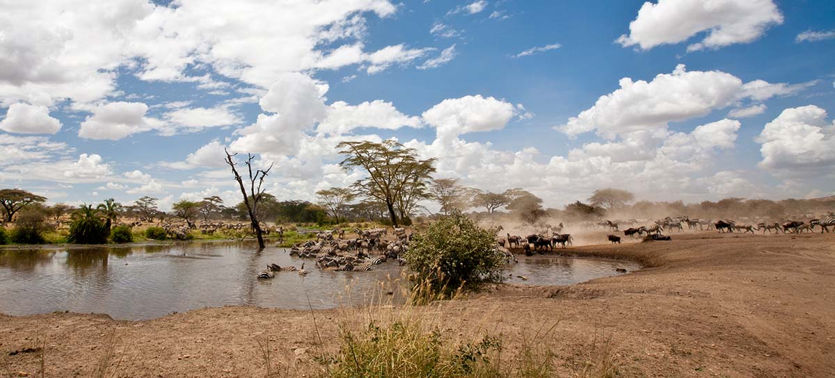 Serengeti National Park