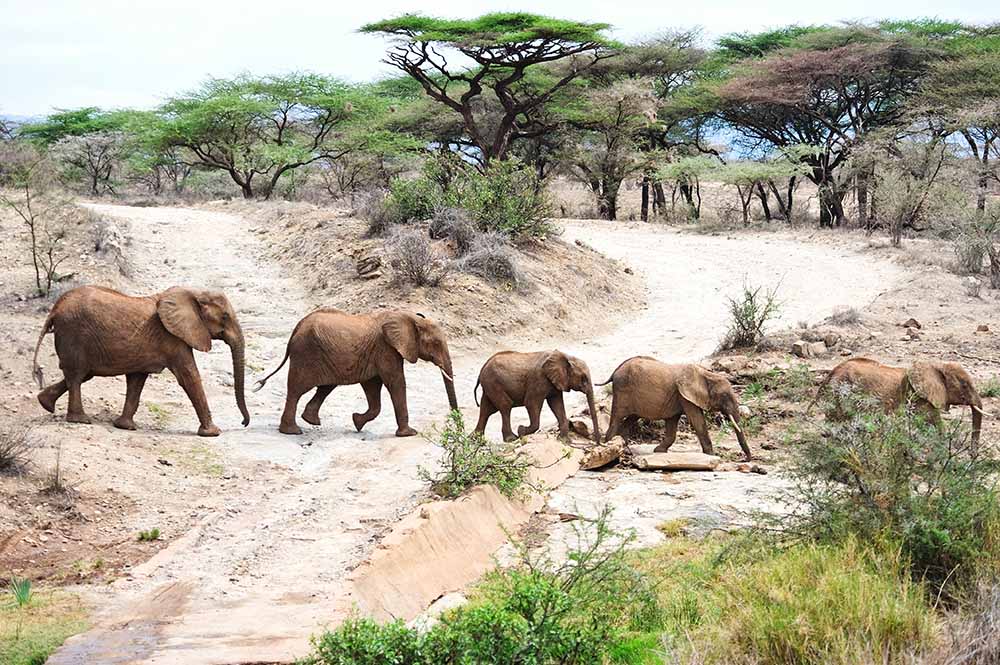 Western Circuit Tanzania, Blog Tanzania Eco friendly, Sustainable Destination Management Company in Africa