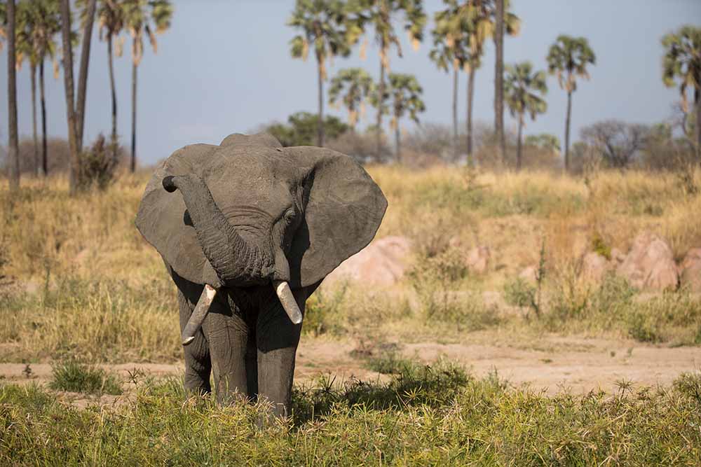 Southern Circuit, Online Payment, Plan your trip, Privacy Policy, Contact Us