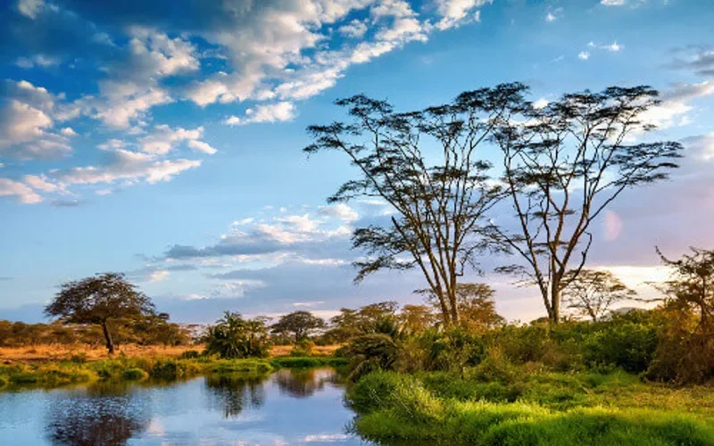 Serengeti Valley tanzania