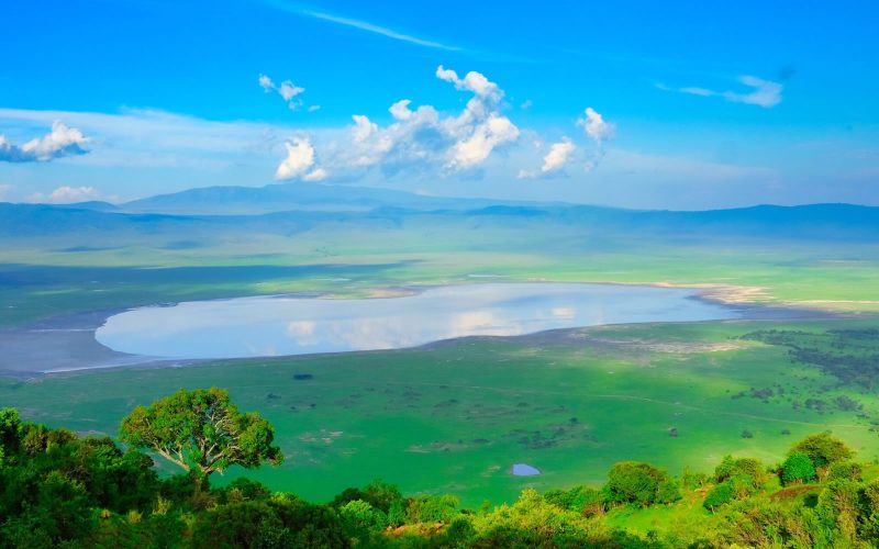 ngorongoro