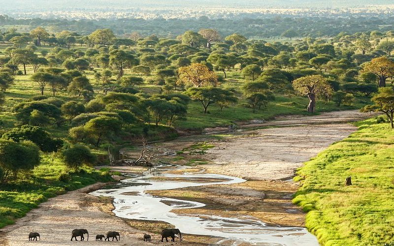 tarangire river